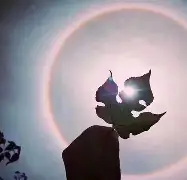 外面太阳太热了怎么办